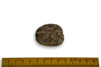 F 13040
<br/>
<br/>
<em></em>